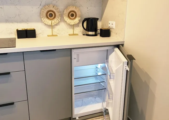 Lodz4-100m Do Piotrkowskiej, Manufaktura, Atlas Arena, Prywatny Parking W Budynku 아파트 *